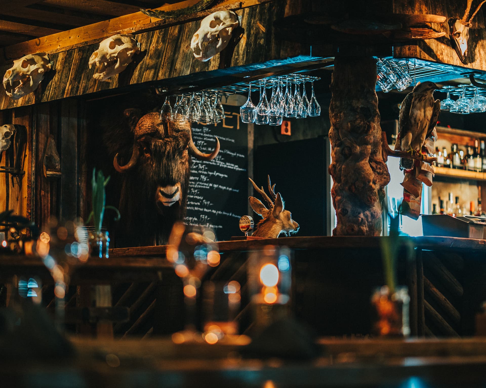 Dukat bord i Vildmarksnästets varma restaurang